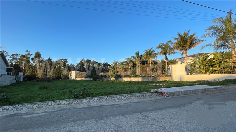 Terreno para Construção / Cantanhede, Cordinhã