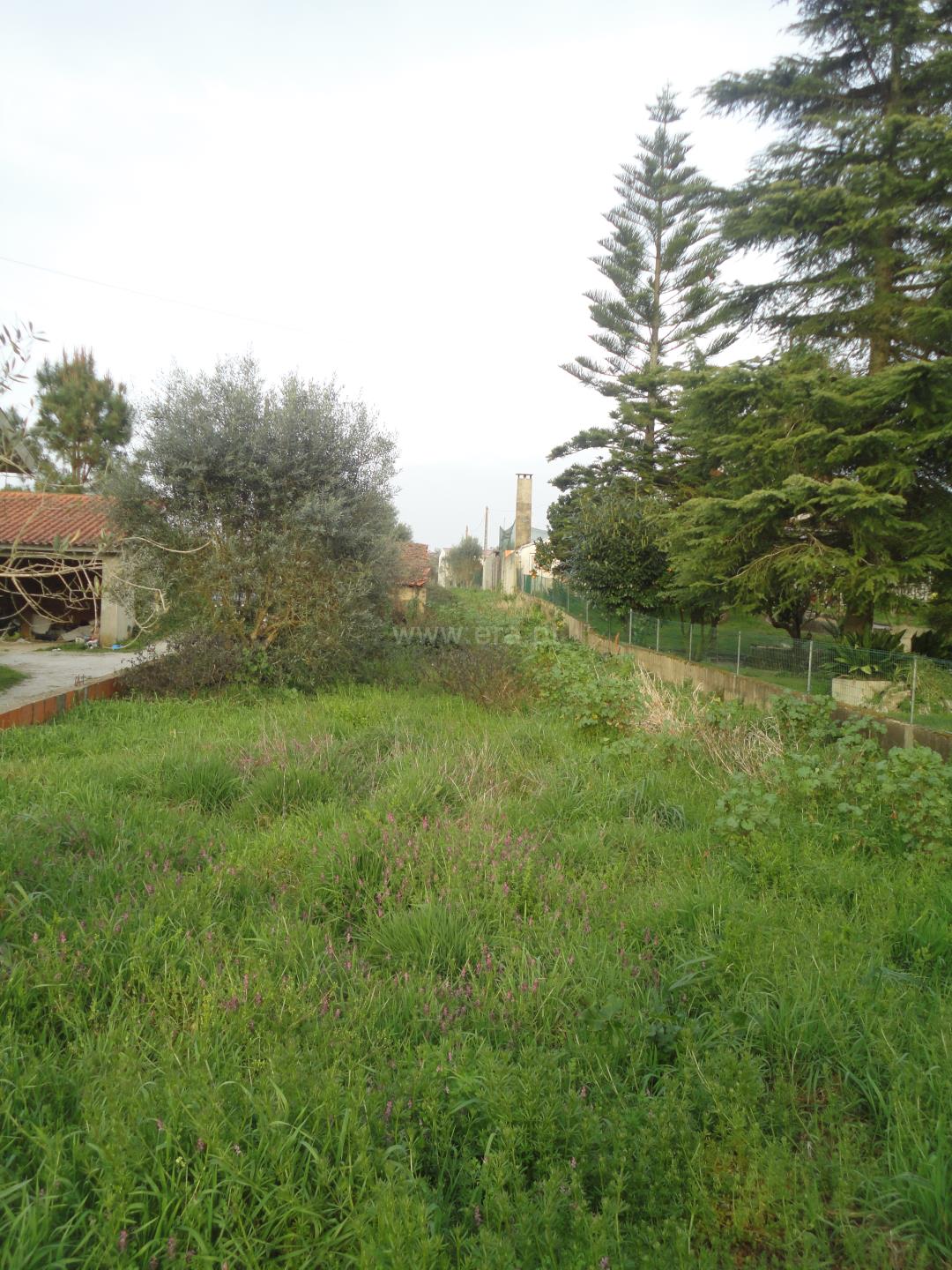 Land for sale in Cantanhede, Portugal — €57,000