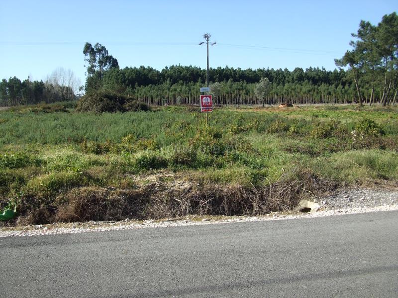 Terreno para Construção / Cantanhede, Covões e Camarneira