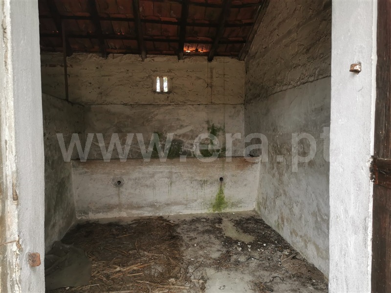 Terreno para Construção  Cantanhede, Criação - 1336342 - 1