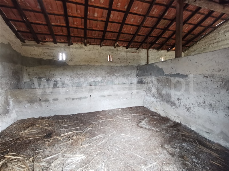 Terreno para Construção  Cantanhede, Criação - 1336342 - 2