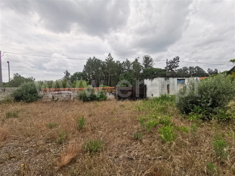 Terreno para Construção  Cantanhede, Criação - 1336342 - 4