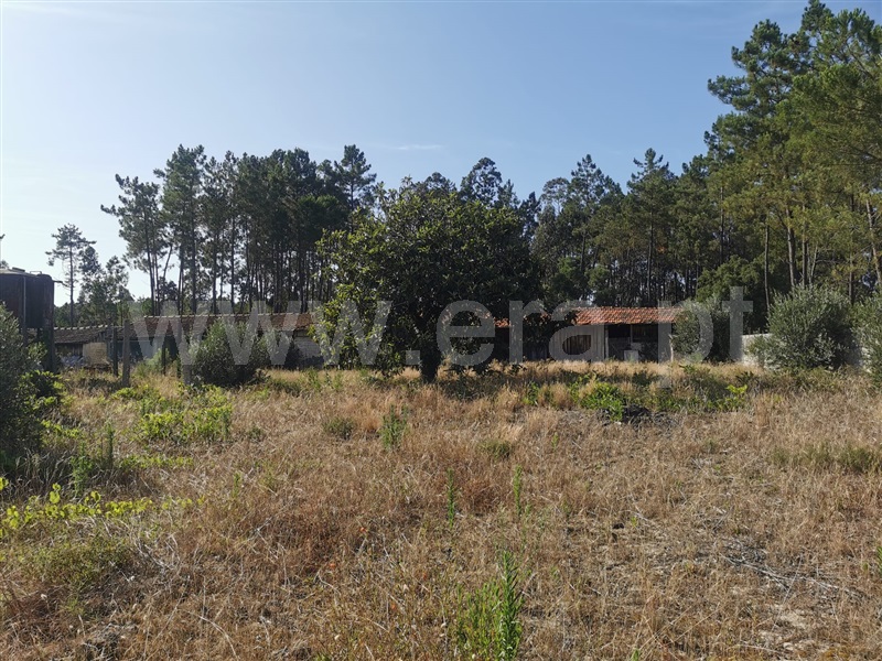 Terreno para Construção  Cantanhede, Criação - 1336342 - 7