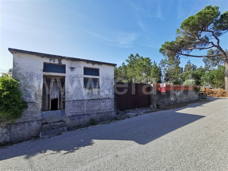 Terreno para Construção / Cantanhede, Criação