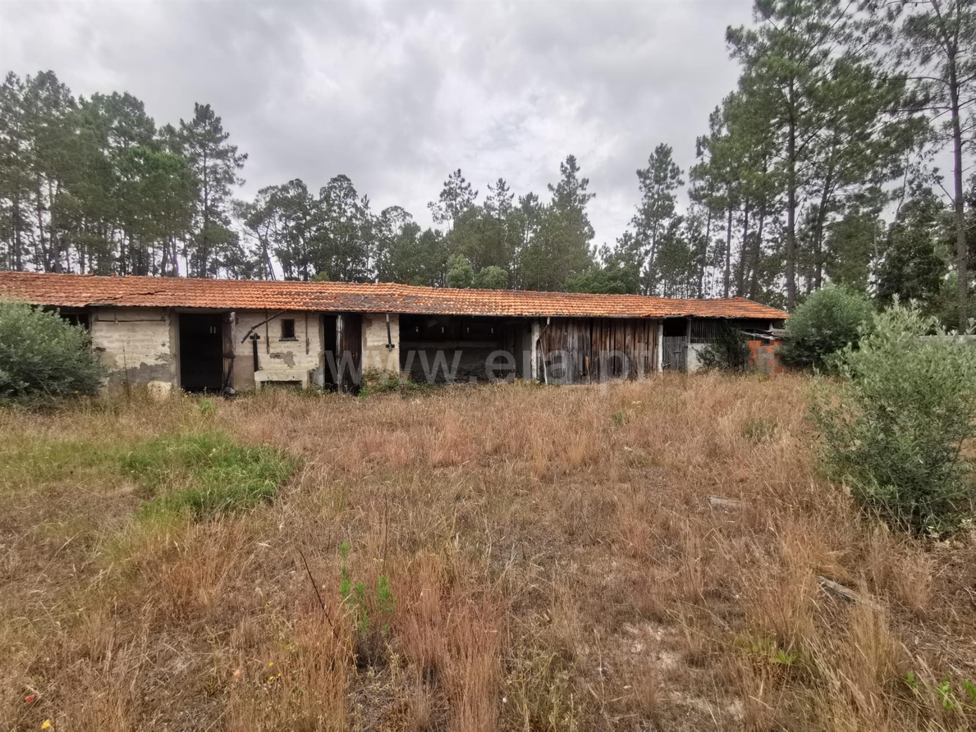 Land for sale in Cantanhede, Portugal — €60,000
