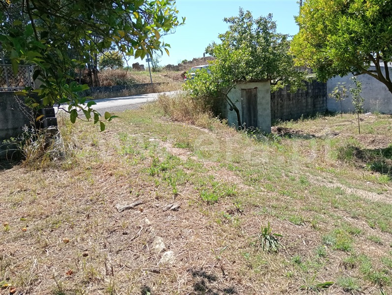 Terreno  Cantanhede, Cantanhede - 1414996 - 1