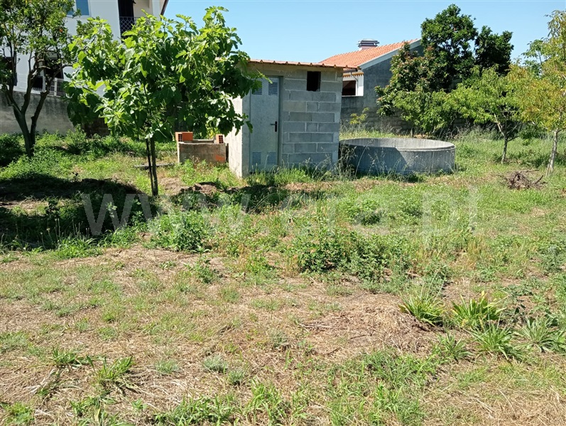 Terreno  Cantanhede, Cantanhede - 1414996 - 2