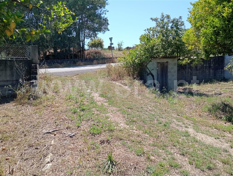Terreno  Cantanhede, Cantanhede - 1414996 - 3