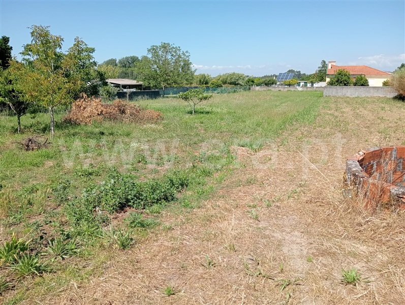 Terreno  Cantanhede, Cantanhede - 1414996 - 8