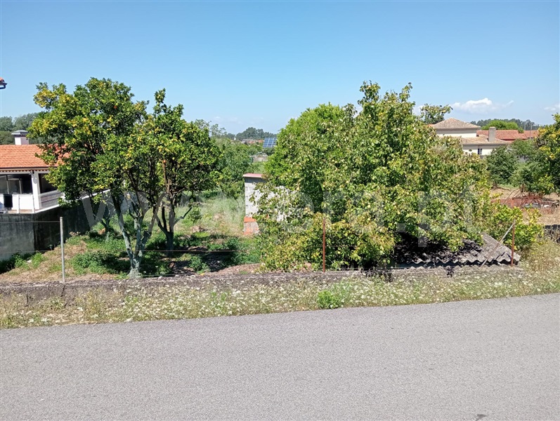 Terreno  Cantanhede, Cantanhede - 1414996 - 11
