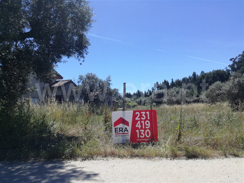 Terreno para Construção / Cantanhede, Murtede