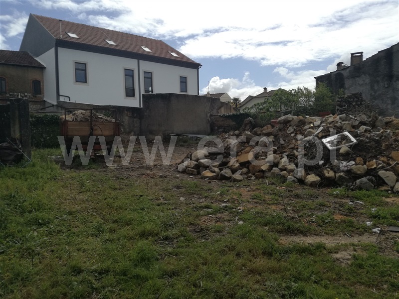 Terreno para Construção / Cantanhede, Murtede