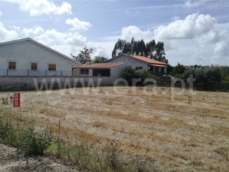 Terreno para Construção / Cantanhede, Pena