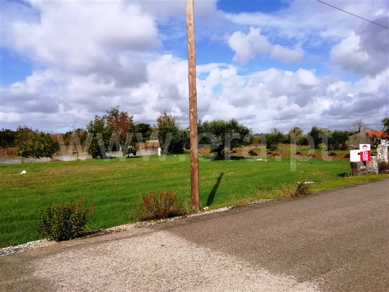 Terreno para Construção  Cantanhede, Pena - 860967 - 3