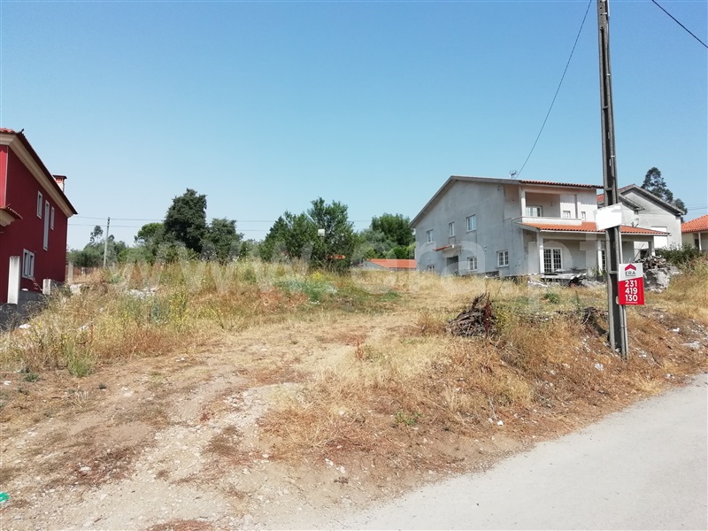 Terreno para Construção / Cantanhede, Pena