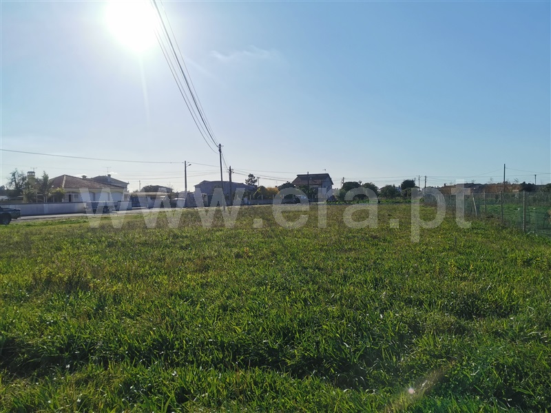 Terreno para Construção / Cantanhede, Perboi de Baixo