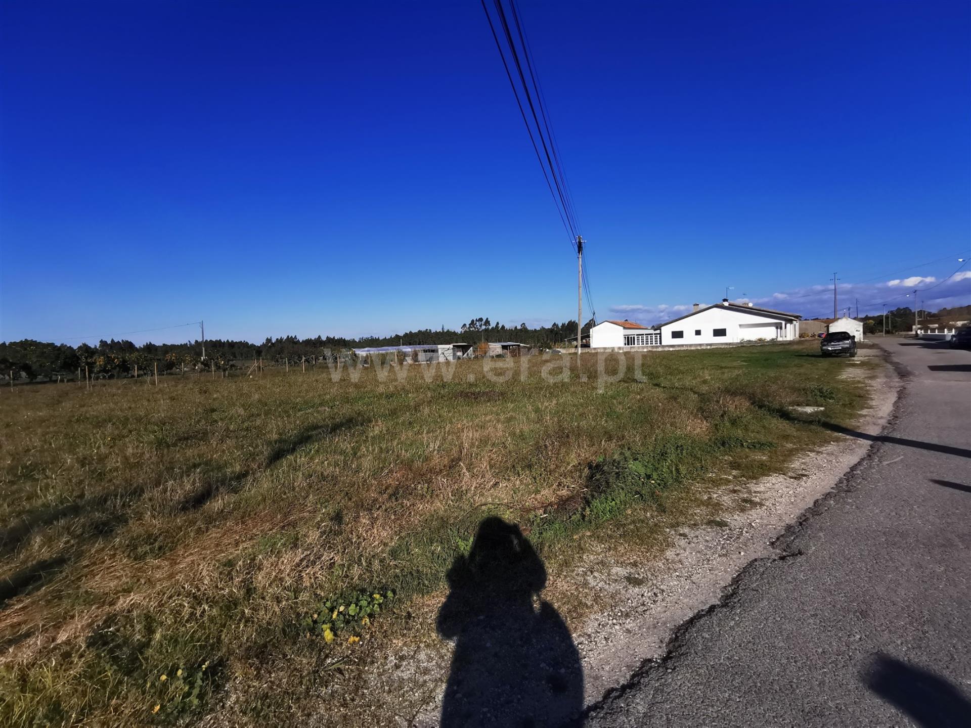 Land for sale in Cantanhede, Portugal — €82,000