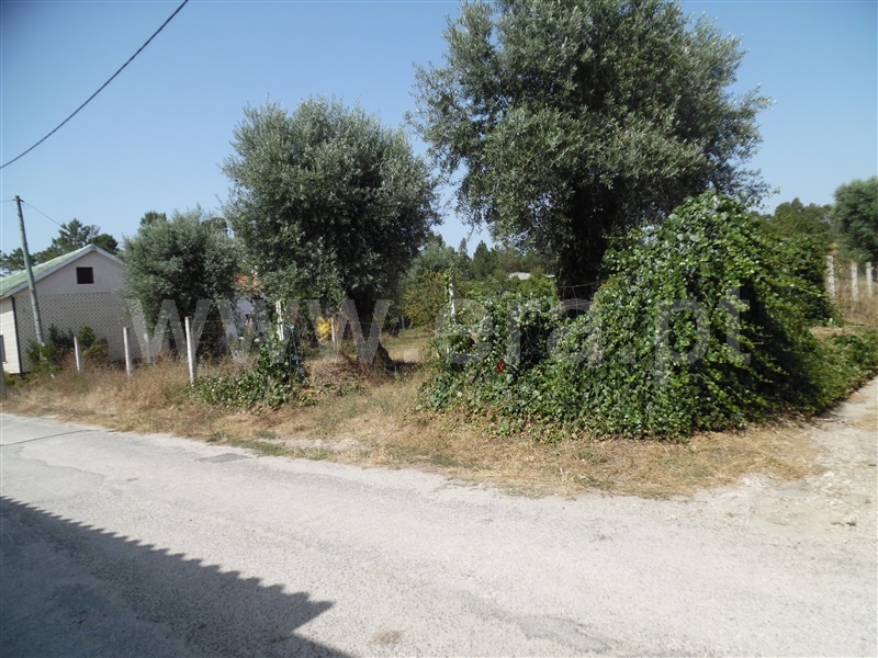 Terreno  Cantanhede, Póvoa de Cadima - 1022808 - 2