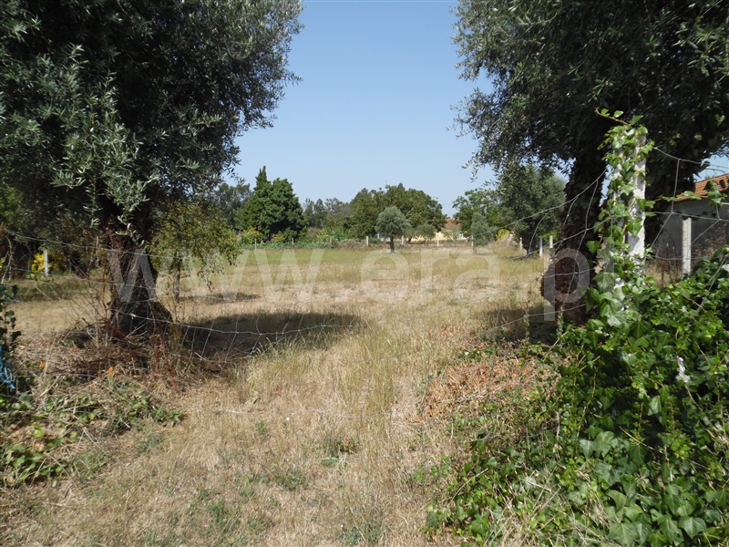 Terreno  Cantanhede, Póvoa de Cadima - 1022808 - 3