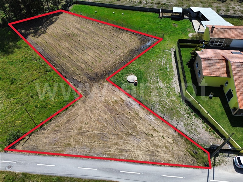 Terreno para Construção / Cantanhede, Sanguinheira