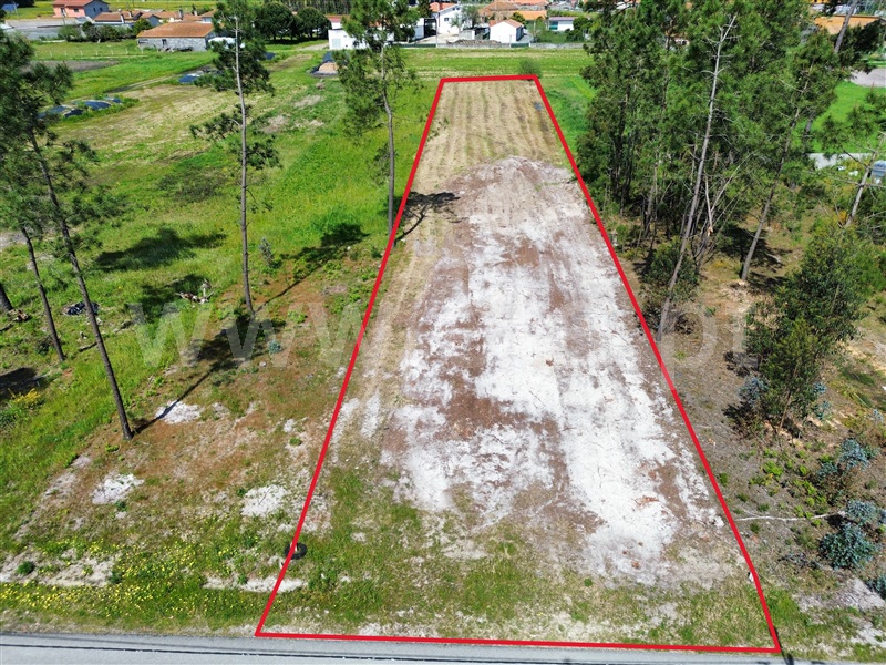 Terreno para Construção / Cantanhede, Sanguinheira