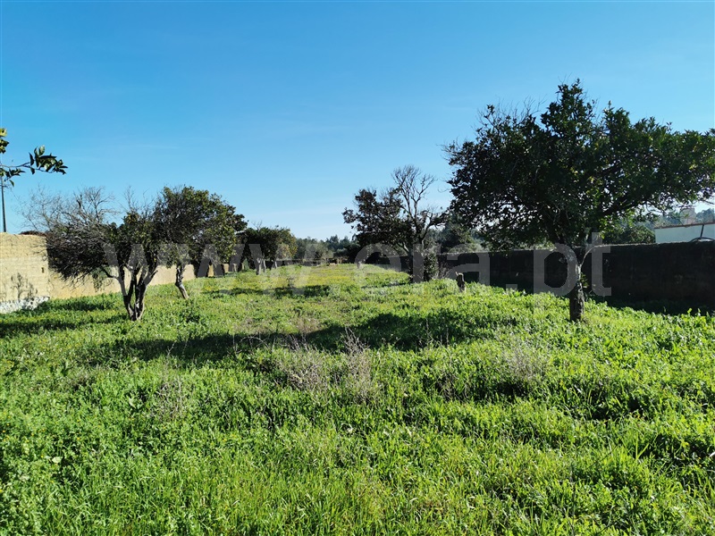 Terreno para Construção / Cantanhede, Venda Nova