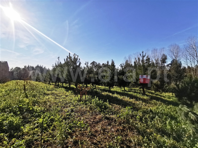 Terreno  Cantanhede, Venda Nova - 1063266 - 3