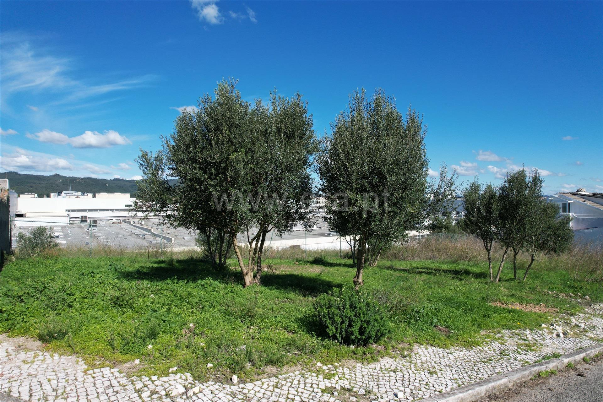 Land for sale in Cascais, Portugal — €215,000