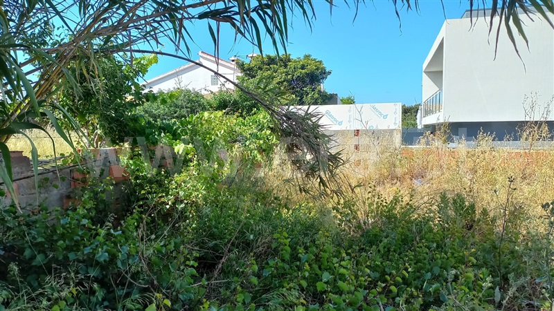 Terreno Urbano  Cascais, São Domingos de Rana - 1332196 - 3