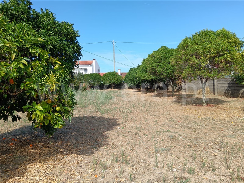 Terreno para Construção / Castelo Branco, Cebolais de Cima e Retaxo
