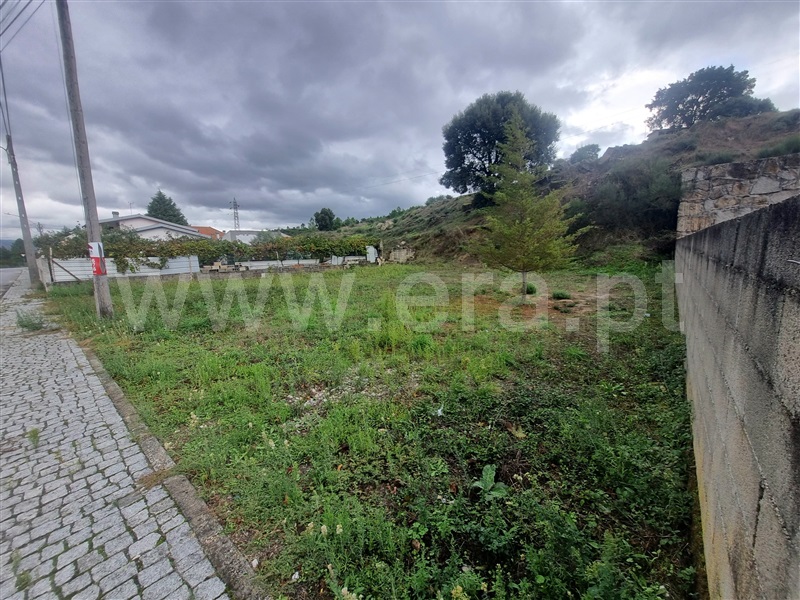 Terreno para Construção  Celorico da Beira, Forno Telheiro - 1436829 - 3