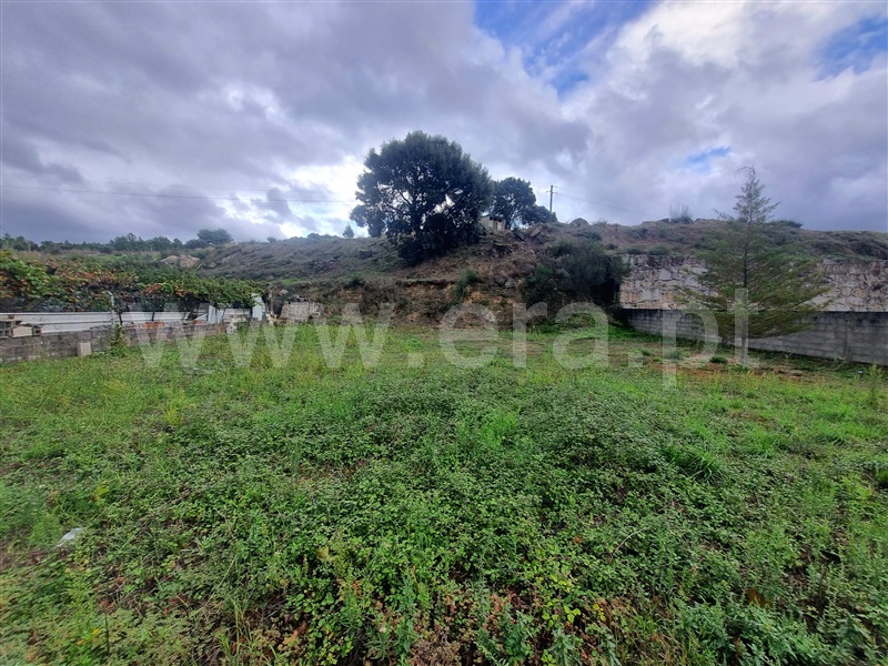 Terreno para Construção  Celorico da Beira, Forno Telheiro - 1436829 - 5