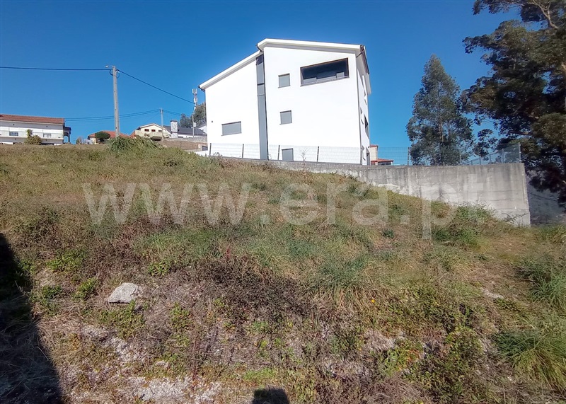Terreno para Construção  Celorico de Basto, Basto (São Clemente) - 1311425 - 4