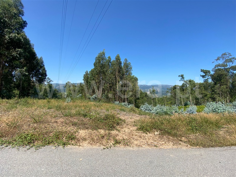 Terreno para Construção / Celorico de Basto, Canedo de Basto e Corgo