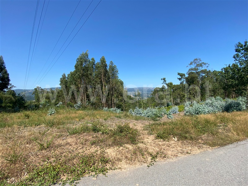 Terreno  Celorico de Basto, Canedo de Basto e Corgo - 1348383 - 4