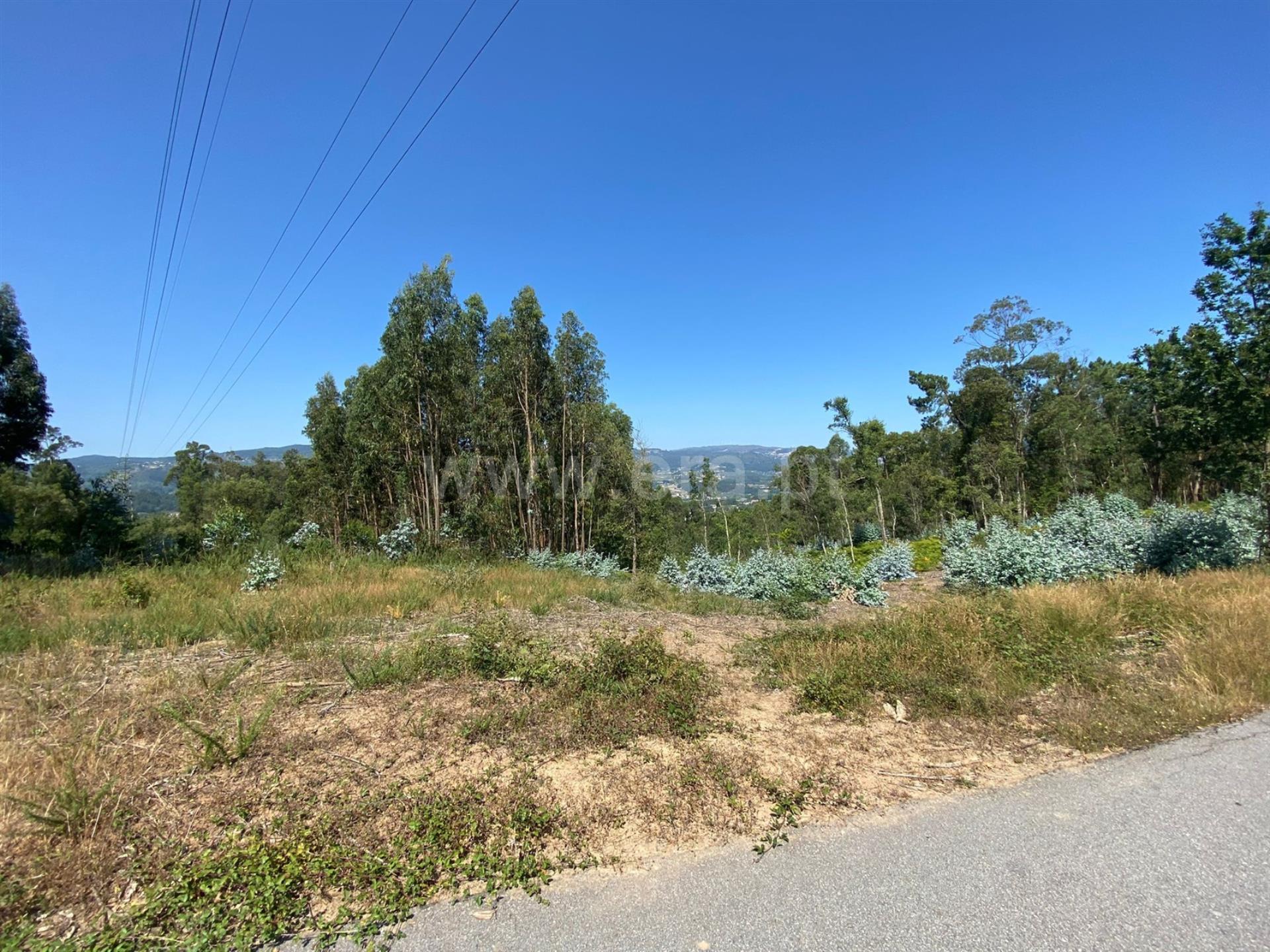 Terreno em Celorico de Basto