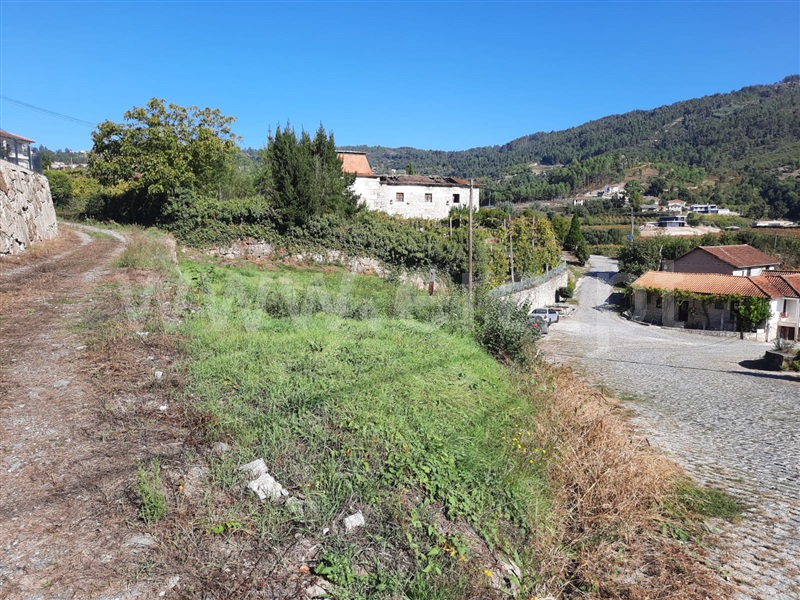 Terreno para Construção  Celorico de Basto, Vale de Bouro - 714678 - 8