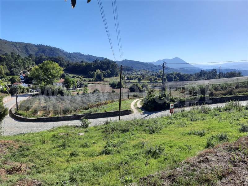 Terreno para Construção / Celorico de Basto, Vale de Bouro