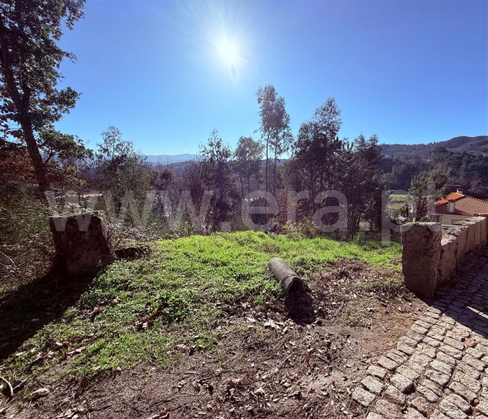 Terreno para Construção / Celorico de Basto, Veade, Gagos e Molares