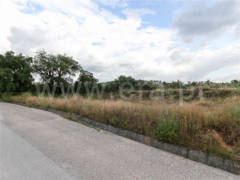 Terreno para Construção  Chamusca, Chamusca - 915795 - 2