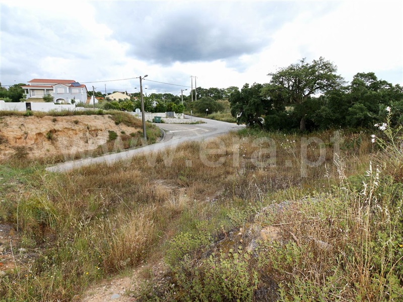 Terreno para Construção / Chamusca, Chamusca