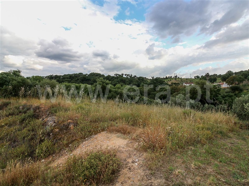 Terreno para Construção  Chamusca, Chamusca - 915795 - 3