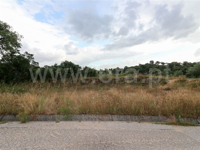 Terreno para Construção  Chamusca, Chamusca - 915795 - 4