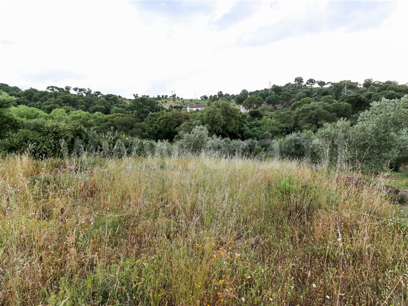 Terreno para Construção  Chamusca, Chamusca - 915795 - 5