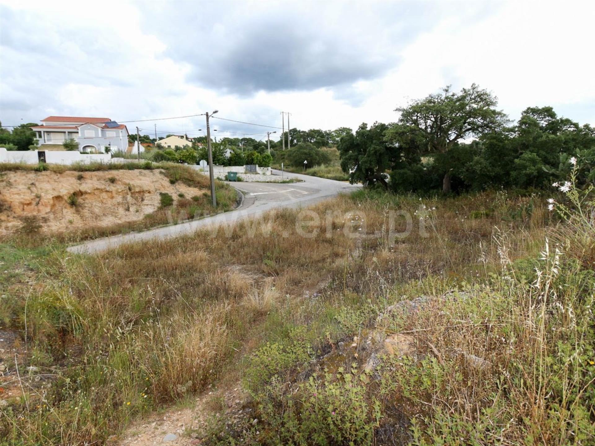 Terreno Chamusca