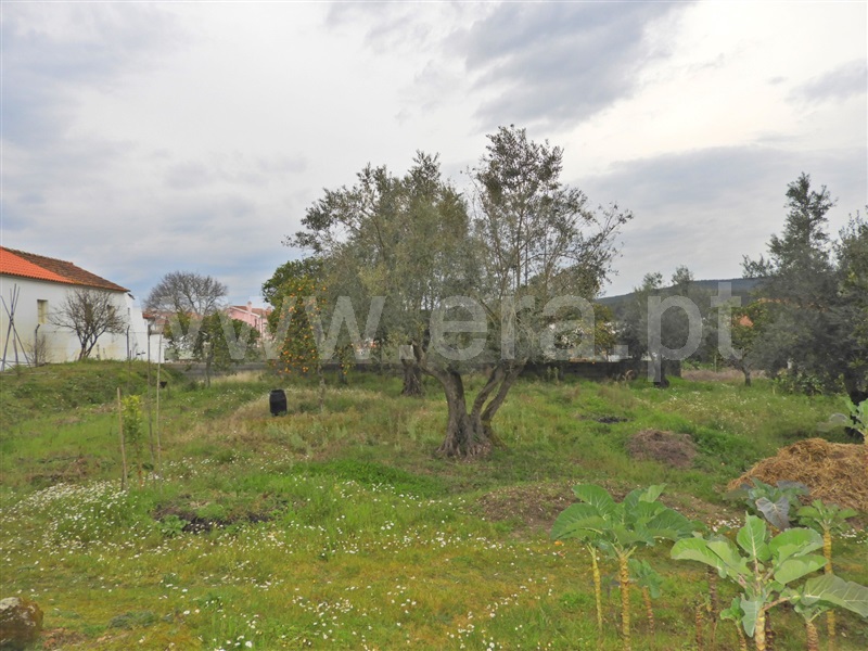 Terreno para Construção / Chamusca, Ulme