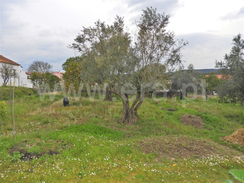 Terreno para Construção  Chamusca, Ulme - 1462997 - 2
