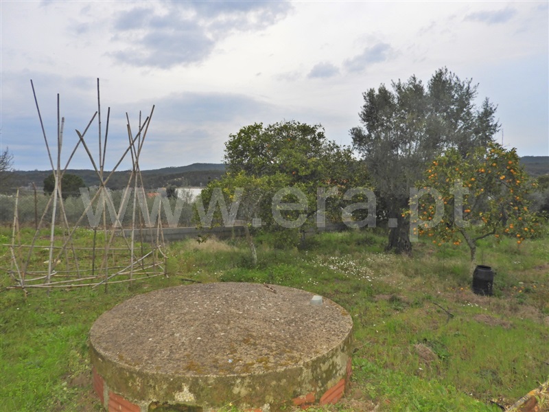 Terreno para Construção  Chamusca, Ulme - 1462997 - 4