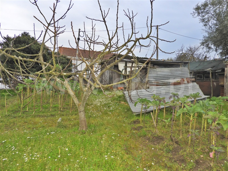 Terreno para Construção  Chamusca, Ulme - 1462997 - 5