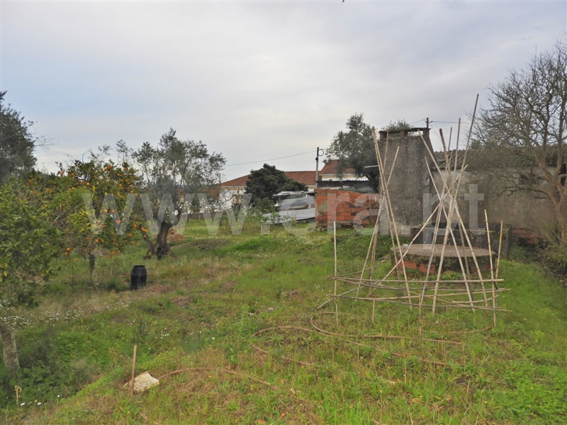 Terreno para Construção  Chamusca, Ulme - 1462997 - 6